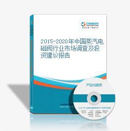 2016-2021年中國蒸汽電磁閥市場前景及融資戰(zhàn)略咨詢報告